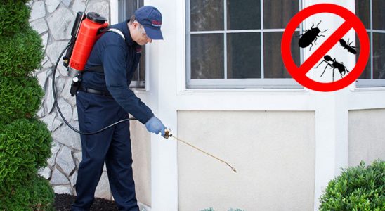Keles Gümüşkurt İlaçlama böcek ilaçlama ve haşere kontrolü — ilaclama-tr.com